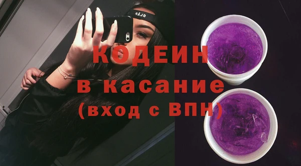 прущие грибы Осташков